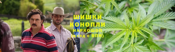 соль ск Няндома