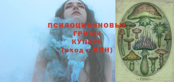 соль ск Няндома