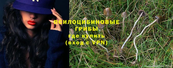 соль ск Няндома