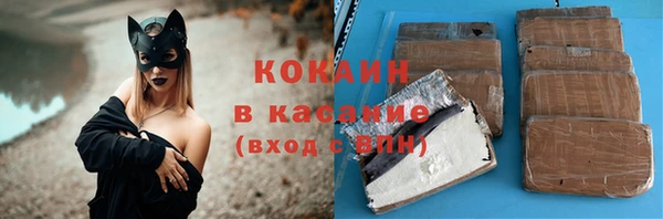 соль ск Няндома