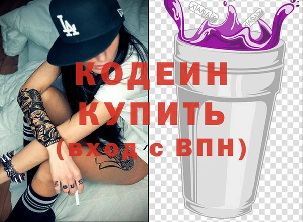 соль ск Няндома
