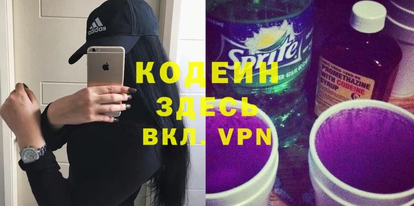 соль ск Няндома